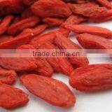 280grains Organic Goji Berry Dried