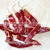 Chinese Dry Red Chili for Wholesale thumbnail-4