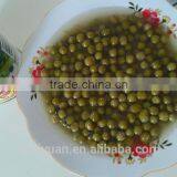 Canned Bean,canned Green Pea,garden Pea , in Tin by Different Specifications thumbnail-3
