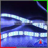 Low Price 120led Per Meter Non-Waterproof Blue Color SMD LED Strip 3528 With CE ROHS thumbnail-5