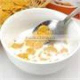 Extruder Food Machine for Corn Flakes Production Process thumbnail-5