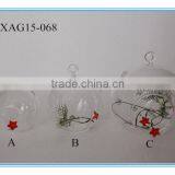 Home Decor Ball Shape Hanging Glass Vase thumbnail-1