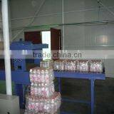 Automatic Shrinking Wrap Machinery / Equipment