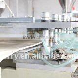 Construction Board Extrusion Line