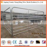 Livestock Panel Used for Protecting Crops