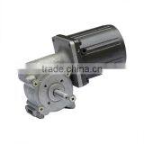 AC Induction Motor With Worm Gear Reducer 200w thumbnail-2