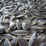 SUNFLOWER SEED ,SUNFLOWER SEED KERNLES thumbnail-1