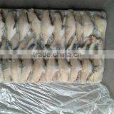 Frozen Leather Jacket Fish thumbnail-4