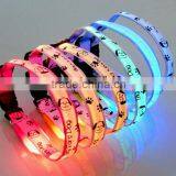 Glow Pet Cat / Dog LED Collar Safety necklace Flashing Lighting Up Collar