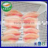 2-5oz 100%NW IVP Tilapia Fillet 2lbs/retailing Bag With Wholesale Price thumbnail-2