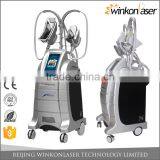 Flabby Skin Hot Selling 4 Handles Treatment Handles Newest Slimming Cryolipolysis Machine Lose Weight thumbnail-3