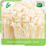 Boiled Fresh Enoki Mushroom thumbnail-1