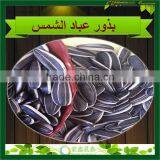 2014 New Crop Hulled Striped 5009 Sunflower Seeds For Sale thumbnail-1