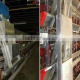 Tiers H Type chicken cage (broiler)