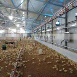 ISO & CE Certified Steel Structure Prefab Poultry Farm Construction With Automatic Equipments thumbnail-2