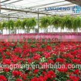 Vegetable Growing Greenhouse thumbnail-5