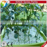 Good Quality Expanded Perlite Widely Use in Garden for Seed Raising thumbnail-2