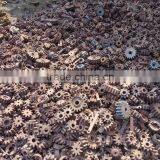 OEM Iron Casting Manufacturer/Iron Cast Ringlock Ledge Head ,construction Iron Cast Ringlock thumbnail-4