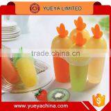 Lovely Carrot Ice Lolly Popsicle DIY Mould YH5867 thumbnail-1