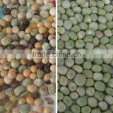 High Capacity Dal Optical Color Sorter in Agriculture thumbnail-4