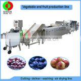 Very Popular Air Bubble Ozone Fruit and Vegetable Cutting Washing Drying Production Line, Full Automatic Machine thumbnail-2