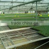 China Market Movable Seedbed Bed For Agricultural Greenhouse thumbnail-1