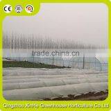 Hot Galvanized Pipe Cheap Plastic Film Agriculture Single Span Tunnel Greenhouse thumbnail-3