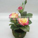 Potted Roses thumbnail-1