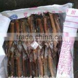 Vietnam Dried Sea Cucumber Illex Squid thumbnail-1