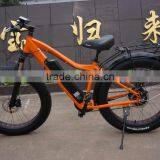 Highquality Electric Bike Big Power Electric Fat Bicycle thumbnail-2