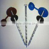 Polished Decorative Flooring Nails With Washers thumbnail-3