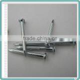 Hardened Steel Nails/Large Steel Nails/Concrete Nails China thumbnail-4