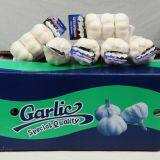 Свежий чеснок/Белый чеснок