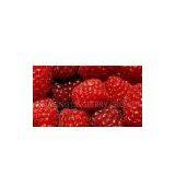 Red Raspberry Powder thumbnail-1