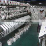 100 Pct Spun Polyester Skein Hank Yarn , 20s/2 Raw White