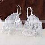 Encaje Sexy Bralette Lace Crop Top Bra Wireless thumbnail-5