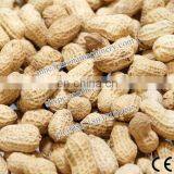 Automatic Peanut Roast Machine Prices Peanut Roasters For Sale Peanut Roasting Machine thumbnail-6