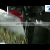 304 Stainless Steel Stagger Electric Automatic 10 Head Multihead Weigher