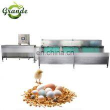 Full Stainless Steel 5 Grades Egg Grading Machine Egg Sorting Machine Egg Grading Packing Machine thumbnail-4