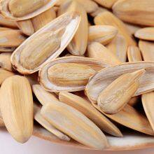 Wholesale High Quality Bulk Peeles Roasted White Sunflower Seeds Multi Flavor Individual Small Packaging Nuts Snacks Brand LE FANG thumbnail-5