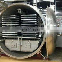 Vacuum Freeze Dryer in the Dried Fruit& Vegetable Processing thumbnail-2