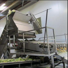 Custom Design Available Sweet Corn Processing Machines Corn Processing Equipment Canned Sweet Corn Processing Machine thumbnail-5