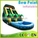 New Point Inflatable Water Slides for Summer,professional Double Lane Inflatable Water Slides,inflatable Water Slides