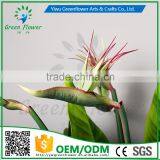 Greenflower 2016 Real Touch PU Latex Artificial Flowers Strelitzia Reginae for Gift Weddings Decorations thumbnail-3