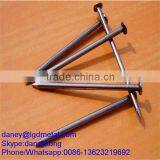 Common Round Iron Wire Nails Factory/Common Nails CN-037D