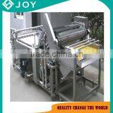 Surfing Washing Machine for Fruit and Vegetable
