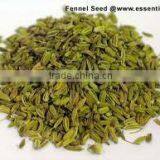 Fennel Oil (Foeniculum Vulgare) thumbnail-2