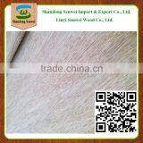 Hot sale in India red color bintangor wood laminate veneer for plywood