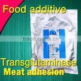 Safe and Healthy Microbial Meat Adhesion thumbnail-1