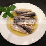 Good quality canned Sardines inoil